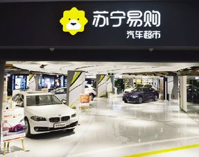 天能集團(tuán)與蘇寧達(dá)成合作 將設(shè)電動(dòng)車(chē)服務(wù)站