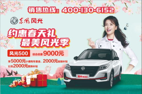 溫州東風(fēng)小康 易車