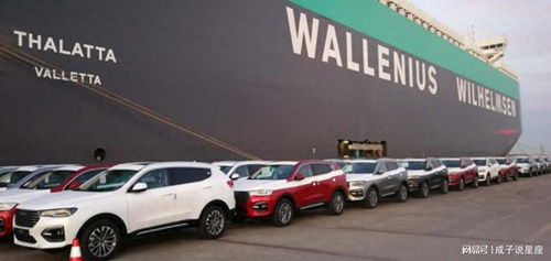 打不贏就制裁 歐盟對(duì)中國(guó)電動(dòng)汽車(chē)發(fā)起反補(bǔ)貼調(diào)查, 或加收關(guān)稅